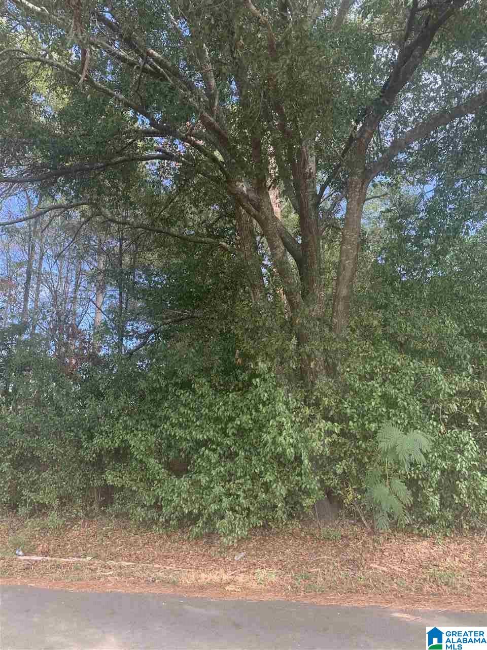 0 Old Lokey Ferry Road, Unit 1 Wilsonville, AL 35186 - Photo 1 of 2