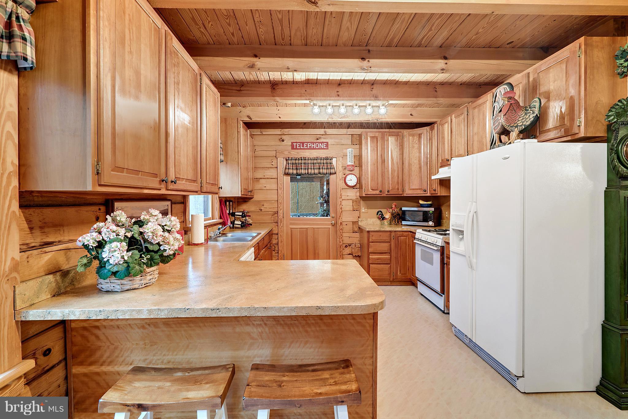 16120 Quail Ridge Drive Rixeyville, VA 22737 - Photo 13 of 30 Kitchen