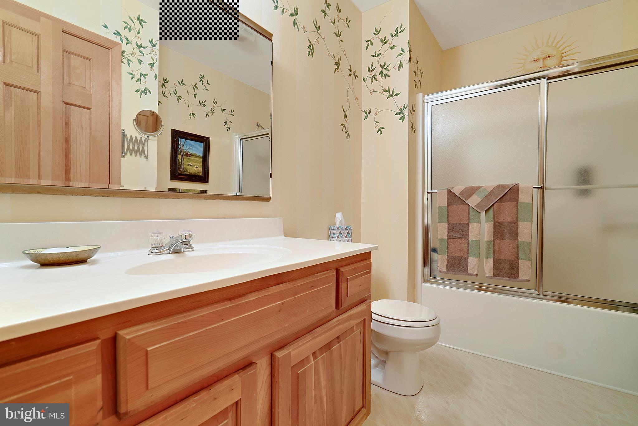 16120 Quail Ridge Drive Rixeyville, VA 22737 - Photo 21 of 30 Bath