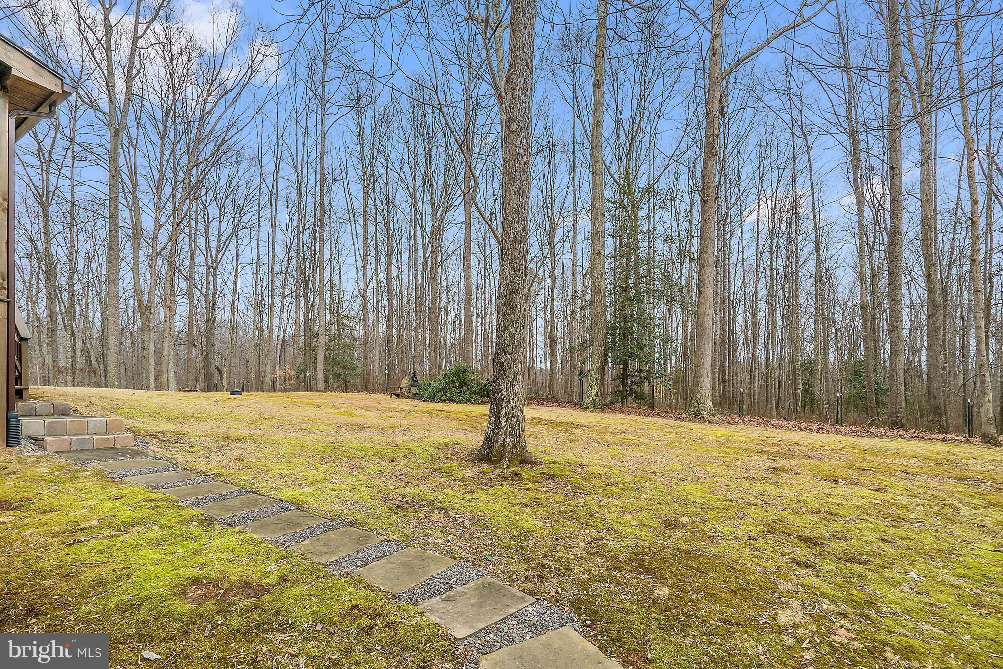 16120 Quail Ridge Drive Rixeyville, VA 22737 - Photo 29 of 30 Exterior (General)