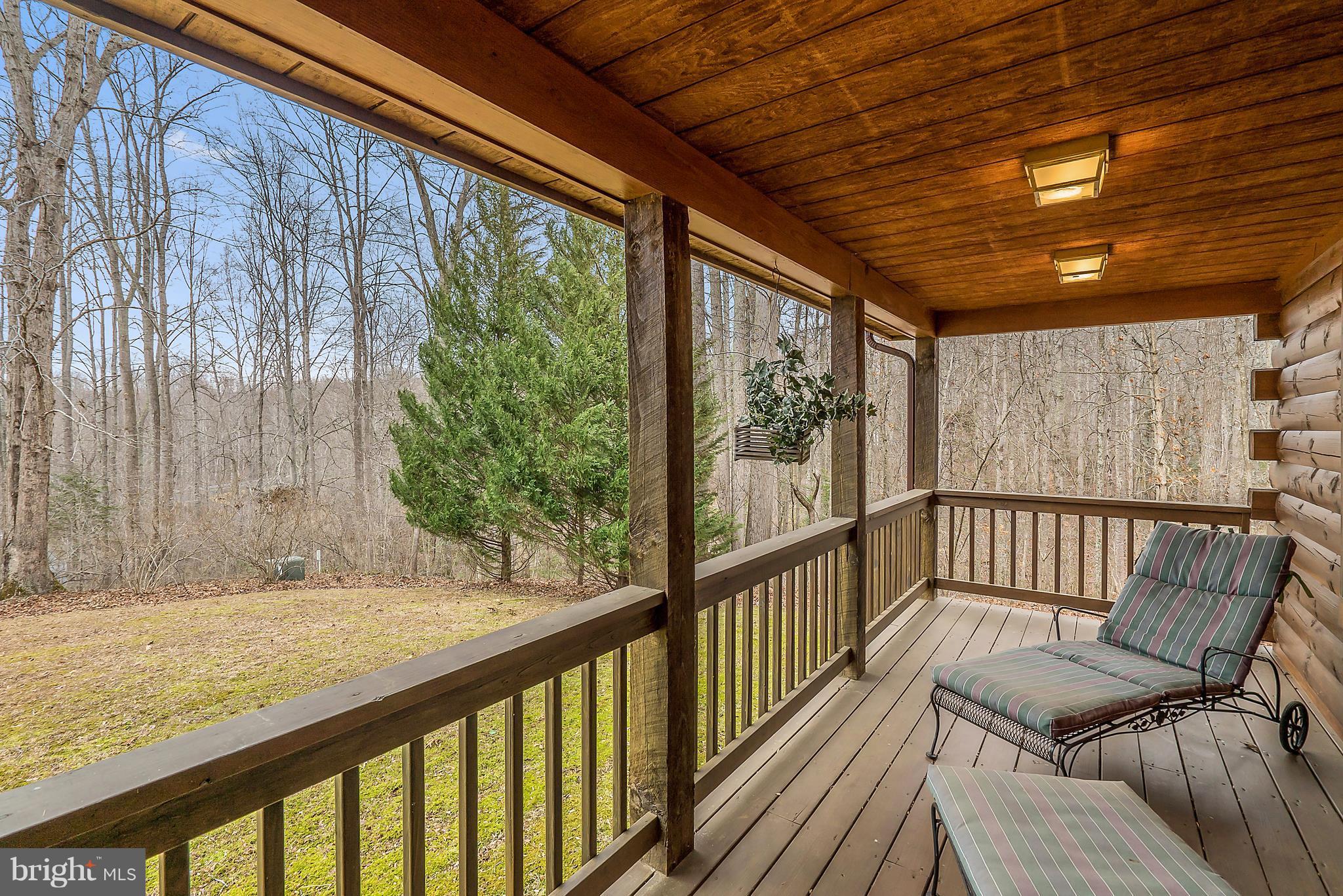 16120 Quail Ridge Drive Rixeyville, VA 22737 - Photo 6 of 30 Exterior (Front)