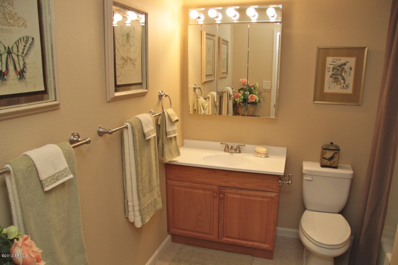 3316 West Gary Road Phoenix, AZ 85029 - Photo 36 of 57 Hall Full Bath with New Vanity
