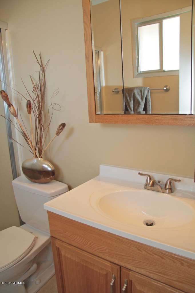 3316 West Gary Road Phoenix, AZ 85029 - Photo 47 of 57 Master Bath has Window for Natural Light