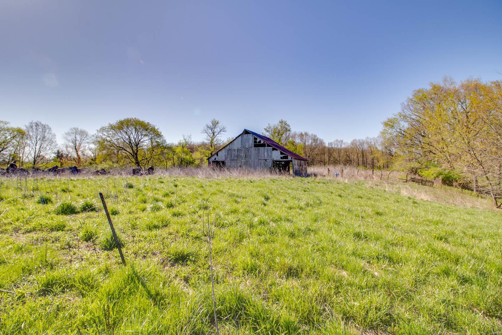 27281 Quarton Road Palmyra, IL 62674 - Photo 22 of 65