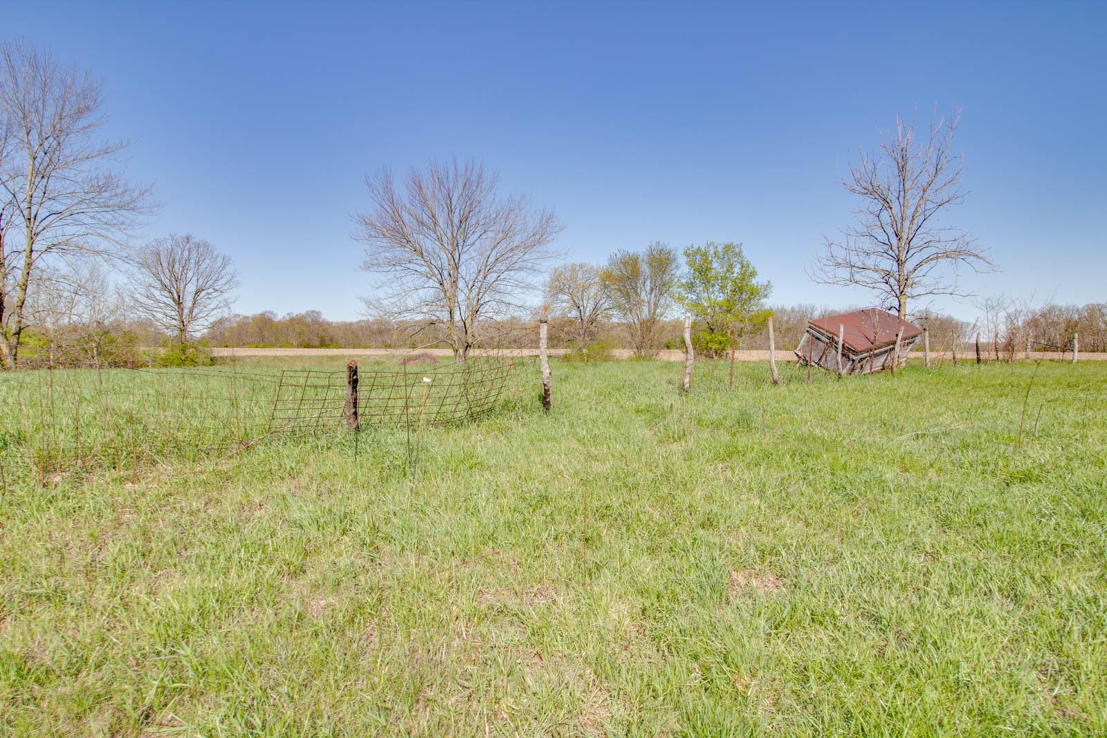 27281 Quarton Road Palmyra, IL 62674 - Photo 26 of 65