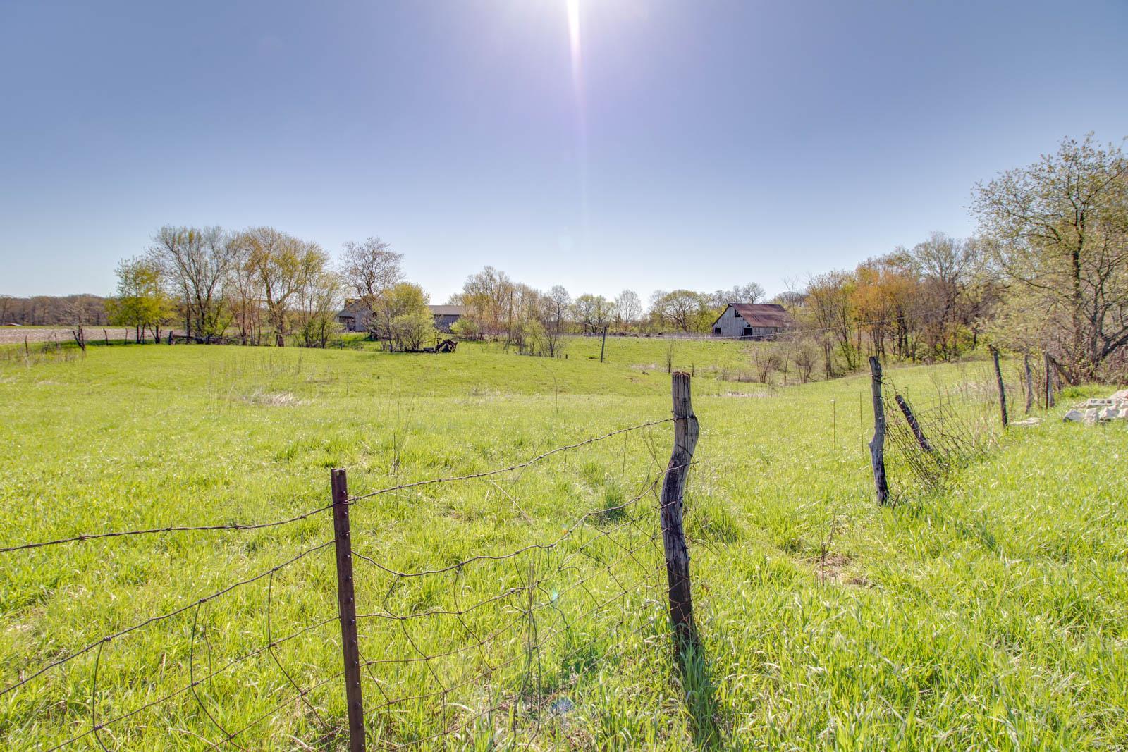 27281 Quarton Road Palmyra, IL 62674 - Photo 27 of 65