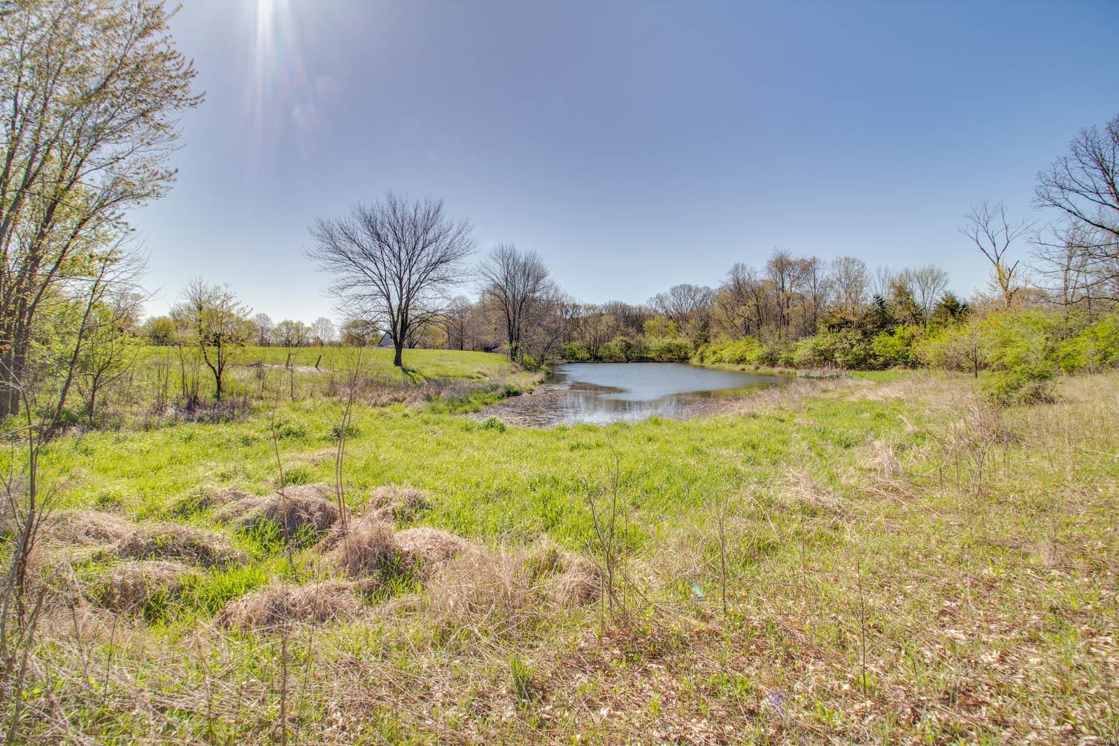 27281 Quarton Road Palmyra, IL 62674 - Photo 29 of 65