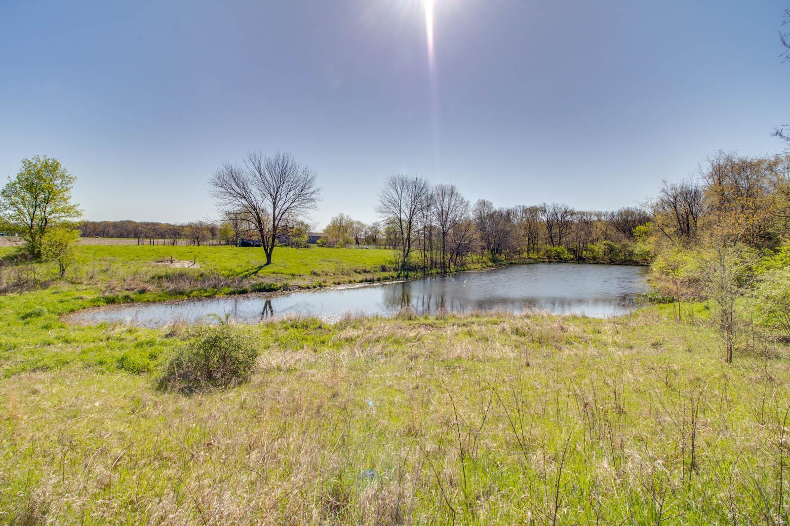 27281 Quarton Road Palmyra, IL 62674 - Photo 30 of 65
