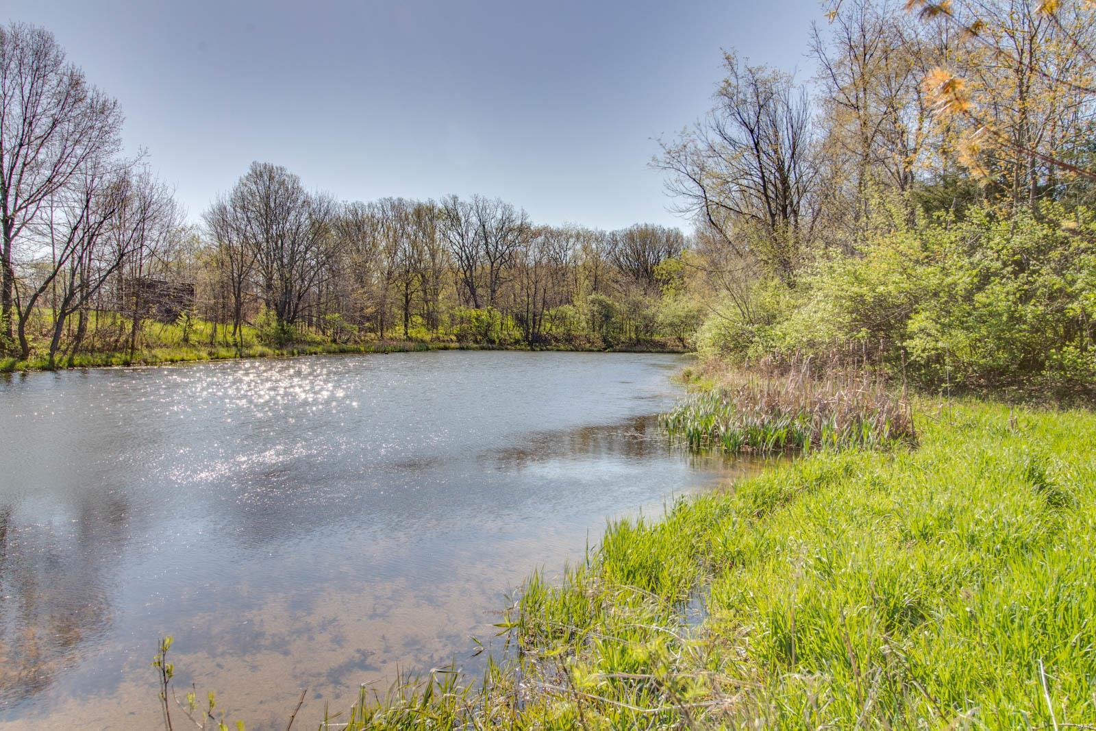 27281 Quarton Road Palmyra, IL 62674 - Photo 31 of 65