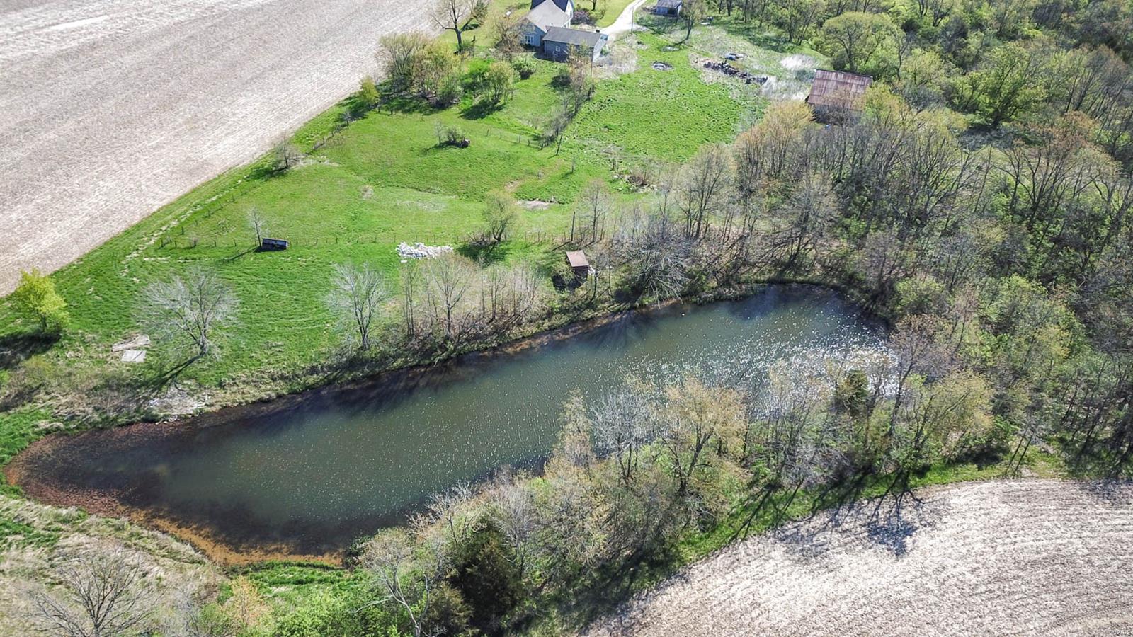 27281 Quarton Road Palmyra, IL 62674 - Photo 10 of 65