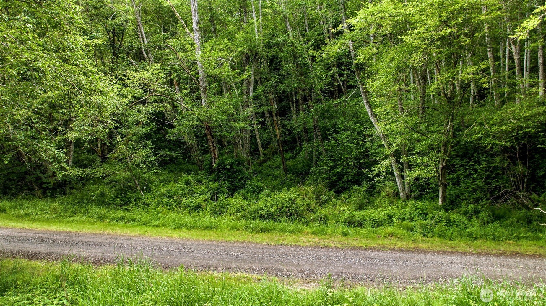 241 Northeast Rendsland Creek Road Tahuya, WA 98588 - Photo 19 of 28