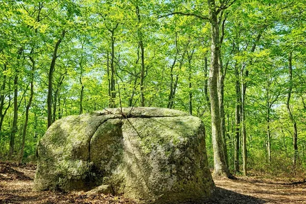 $1,325,000 | 15 N Road, Chilmark, MA 02535