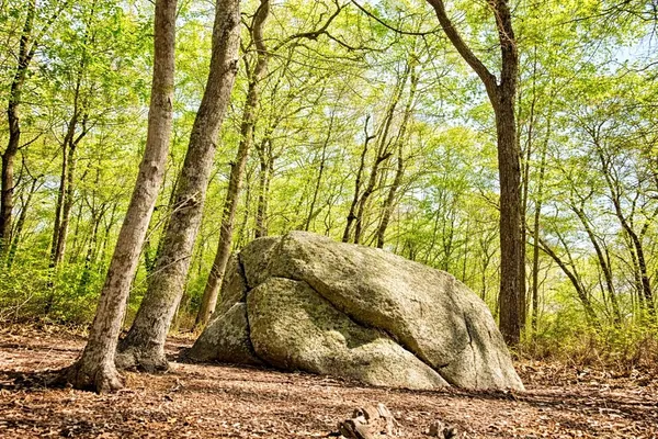 $1,325,000 | 15 N Road, Chilmark, MA 02535