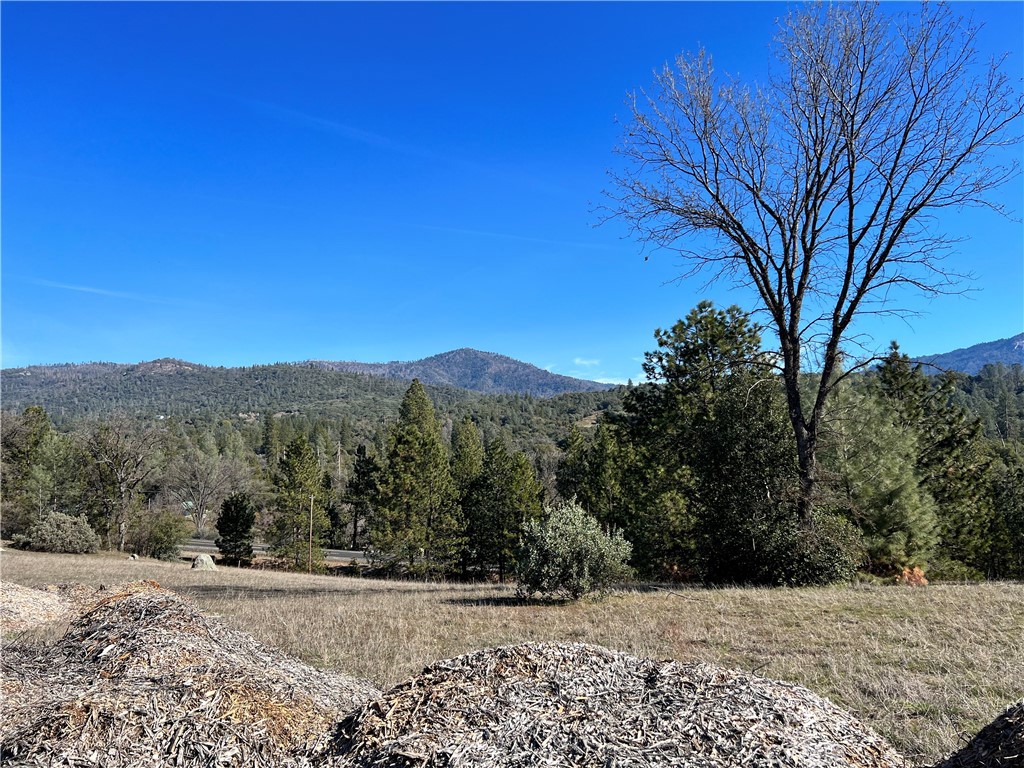 0 Watt Road Ahwahnee, CA 93601 - Photo 11 of 16 a view of a covered with snow in front of yard