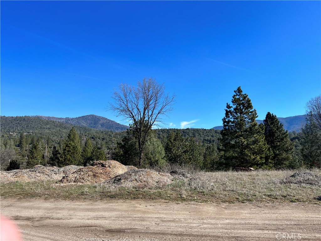 0 Watt Road Ahwahnee, CA 93601 - Photo 12 of 16 a view of a yard with a tree