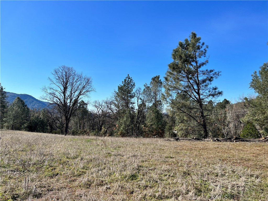 0 Watt Road Ahwahnee, CA 93601 - Photo 13 of 16 a view of a yard with trees in the background