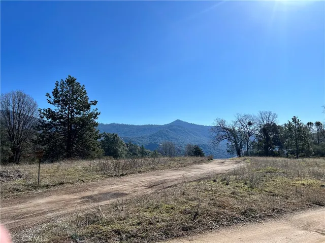 a view of a dry yard with trees