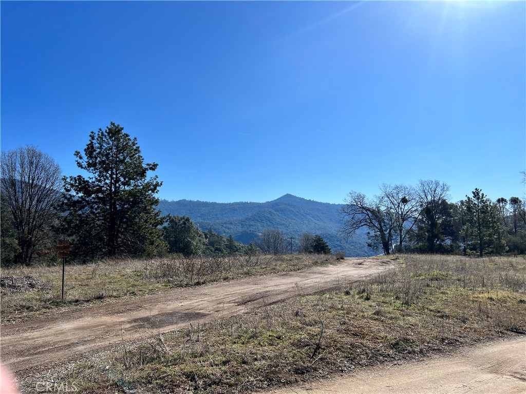 0 Watt Road Ahwahnee, CA 93601 - Photo 16 of 16 a view of a dry yard with trees