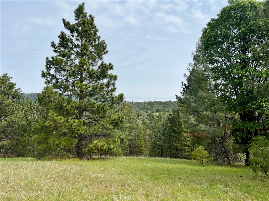 0 Watt Road Ahwahnee, CA 93601 - Photo 3 of 16 a view of yard with green space