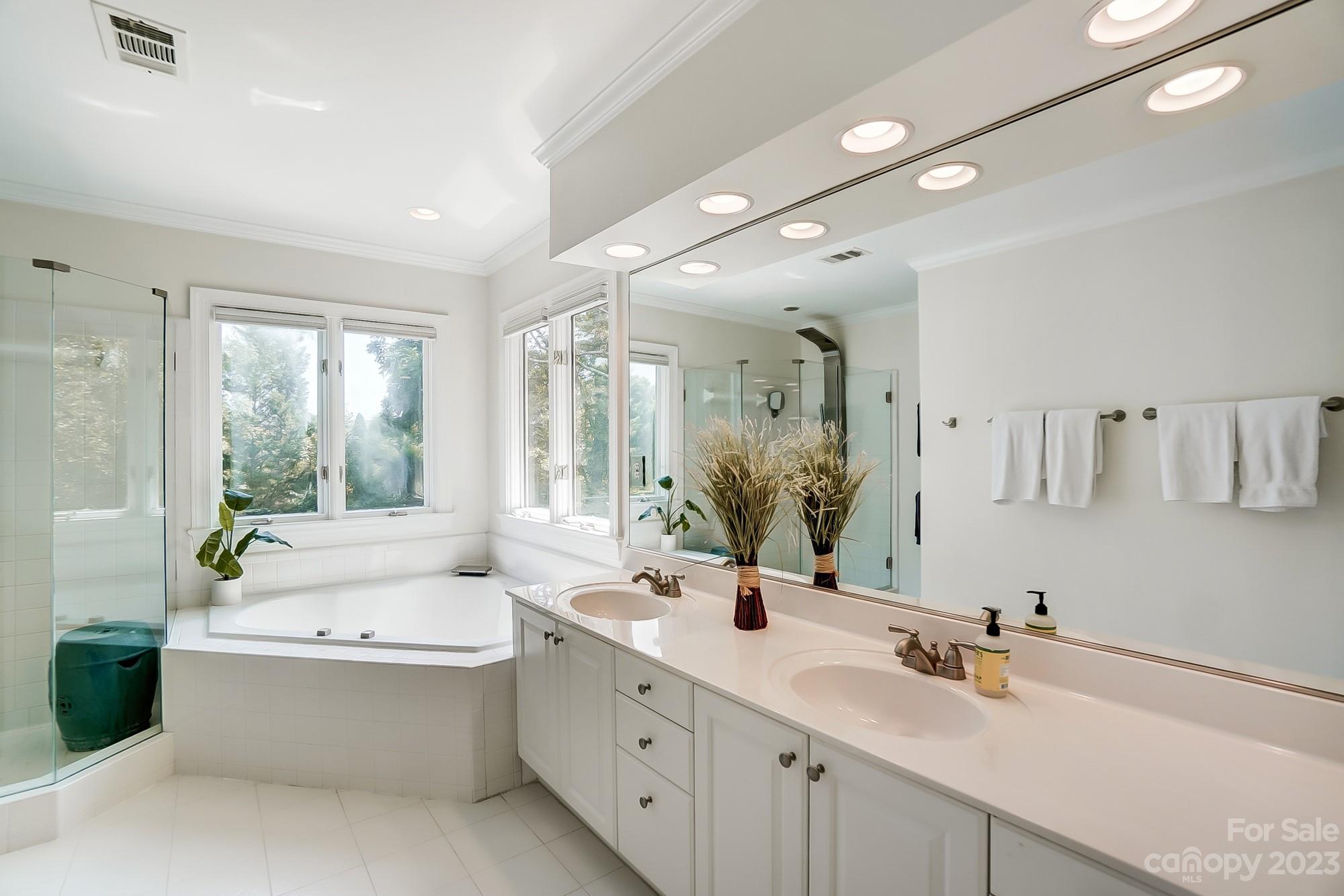 2407 Queensland Drive Charlotte, NC 28270 - Photo 20 of 42 a bathroom with a double vanity sink a large mirror and a bathtub