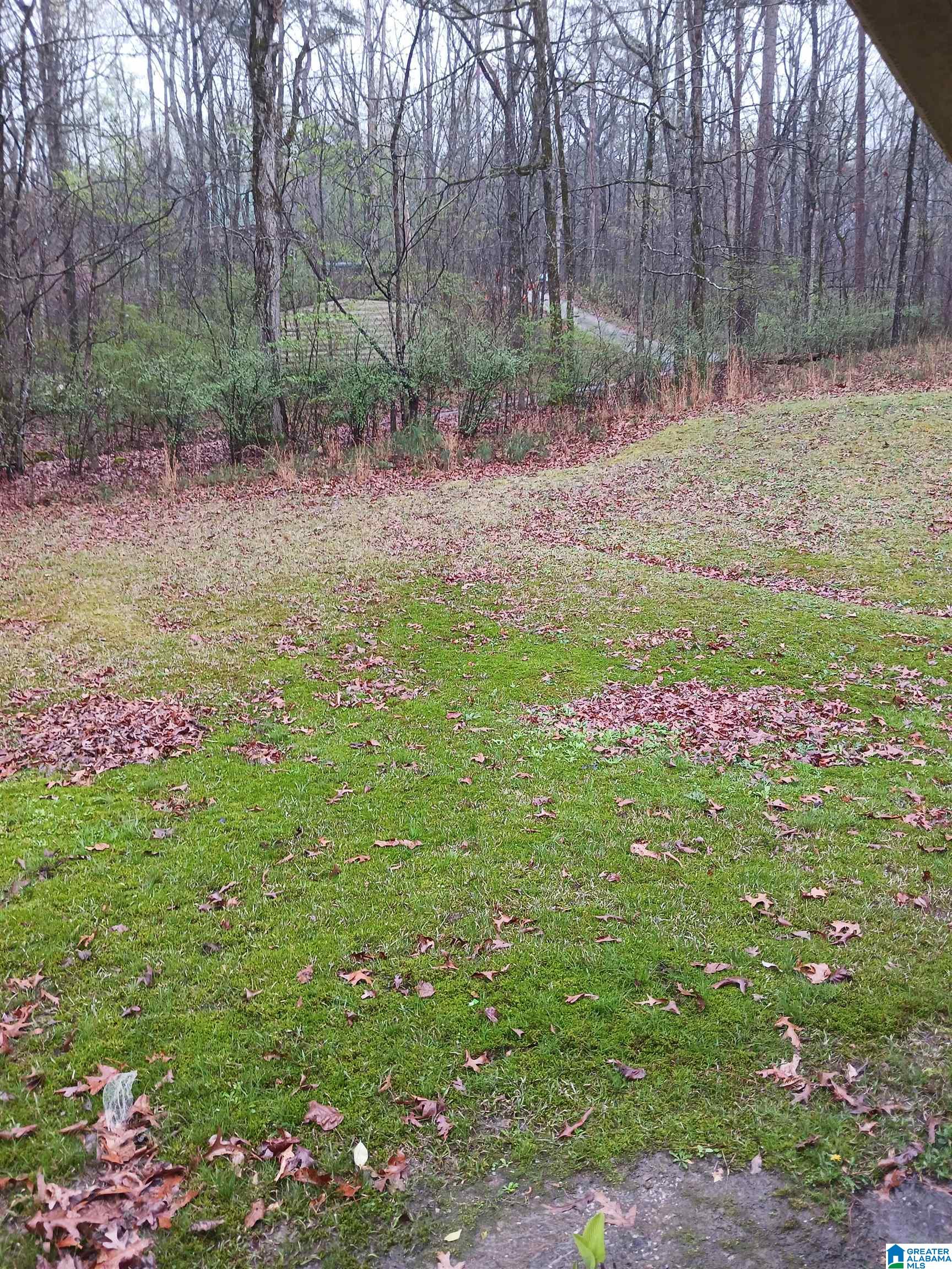 8952 Pear Street Leeds, AL 35094 - Photo 10 of 21