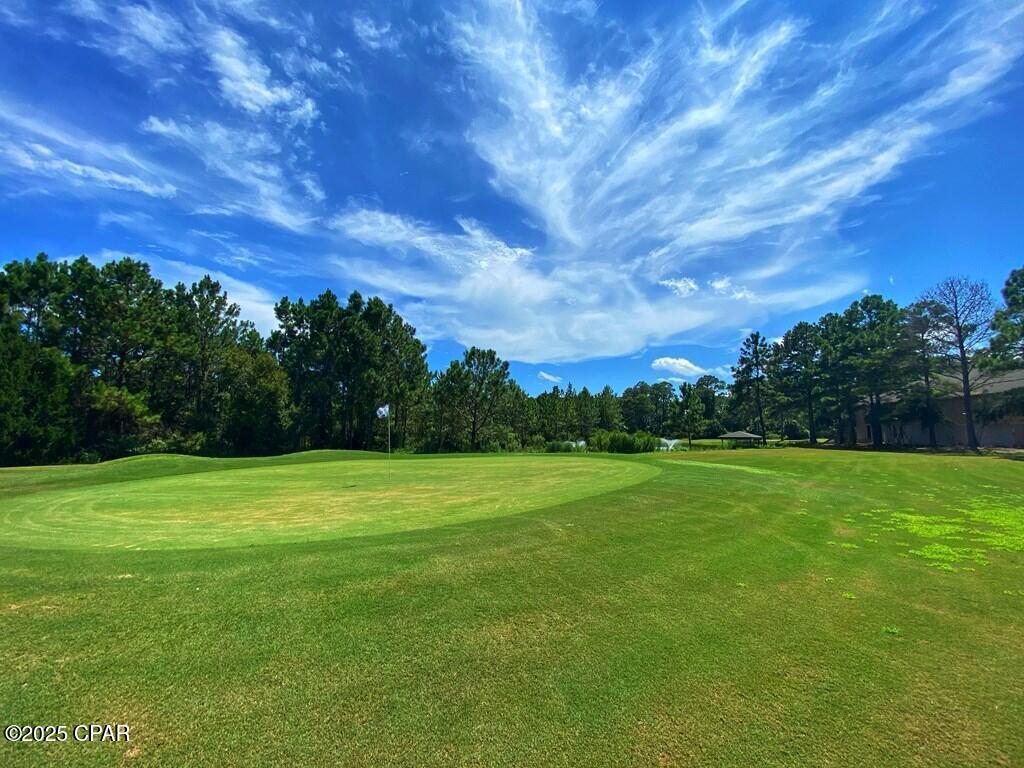 156 Skimmer Drive Carrabelle, FL 32322 - Photo 13 of 19