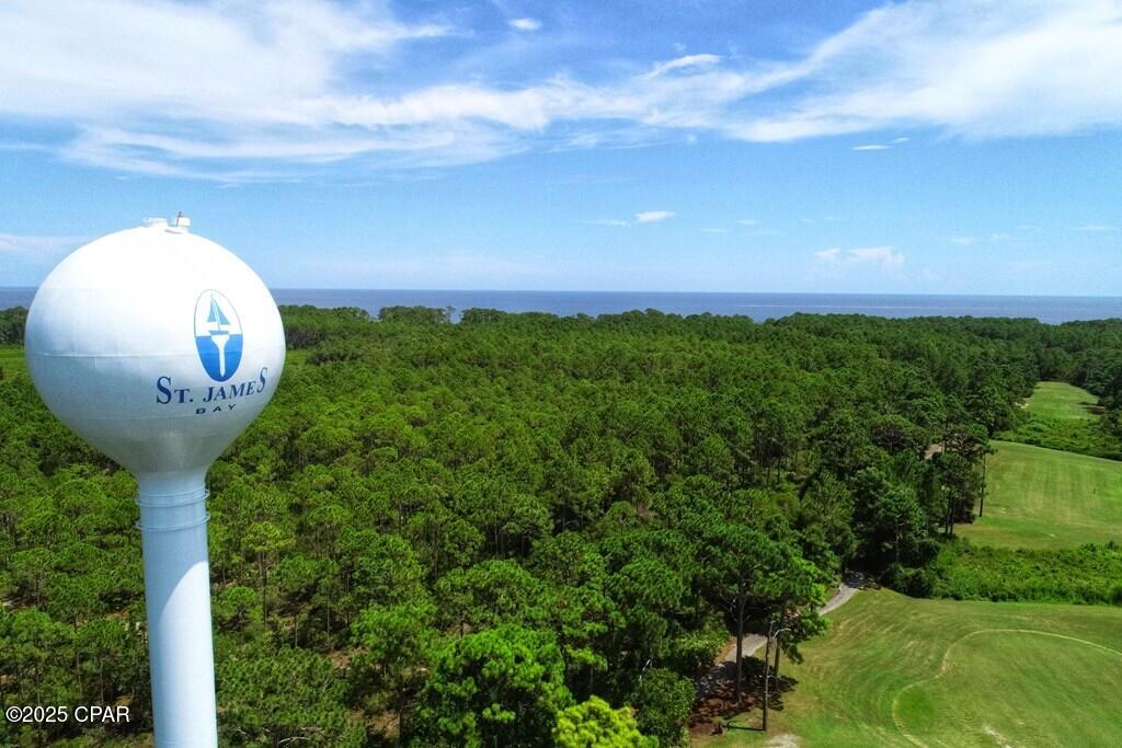 156 Skimmer Drive Carrabelle, FL 32322 - Photo 7 of 19