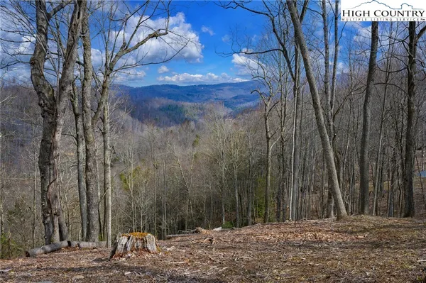 $189,000 | Raspberry Lane, Elk Park, NC 28622
