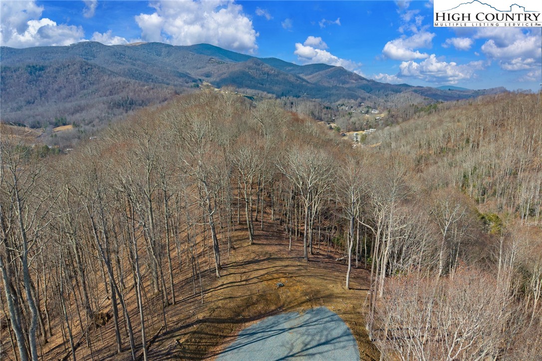 Raspberry Lane Elk Park, NC 28622 - Photo 12 of 39