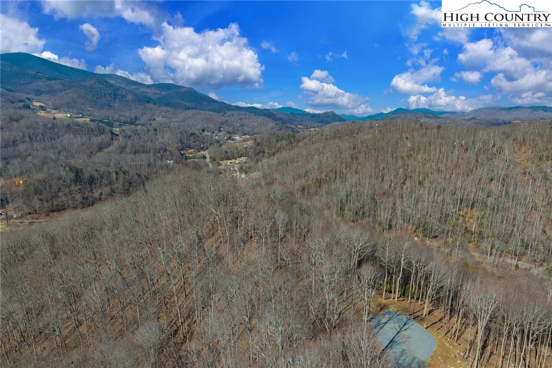 Raspberry Lane Elk Park, NC 28622 - Photo 14 of 39