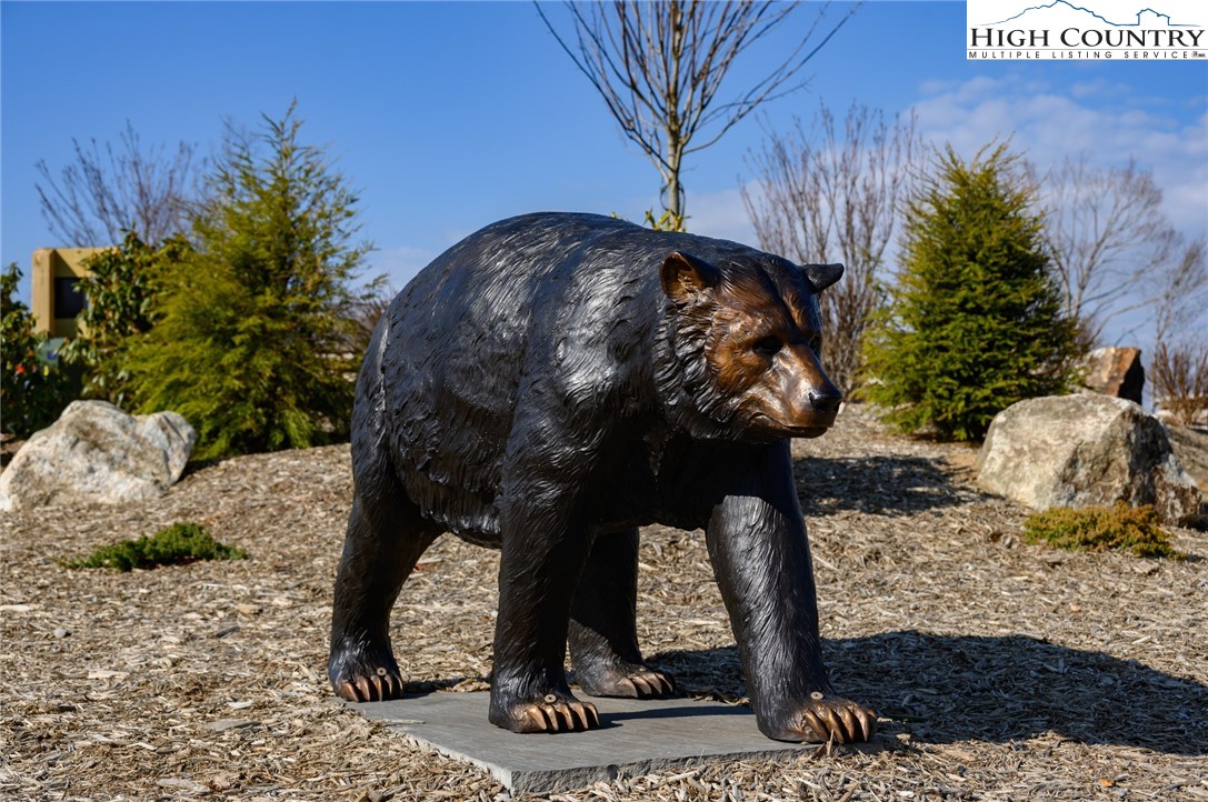 Raspberry Lane Elk Park, NC 28622 - Photo 18 of 39