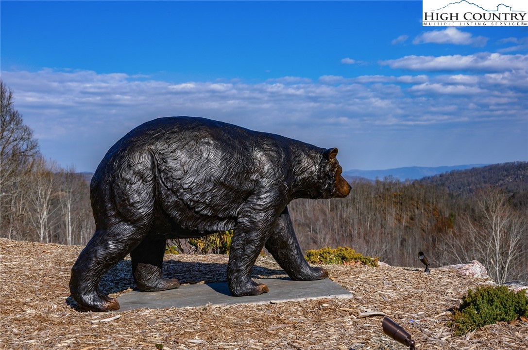 Raspberry Lane Elk Park, NC 28622 - Photo 19 of 39