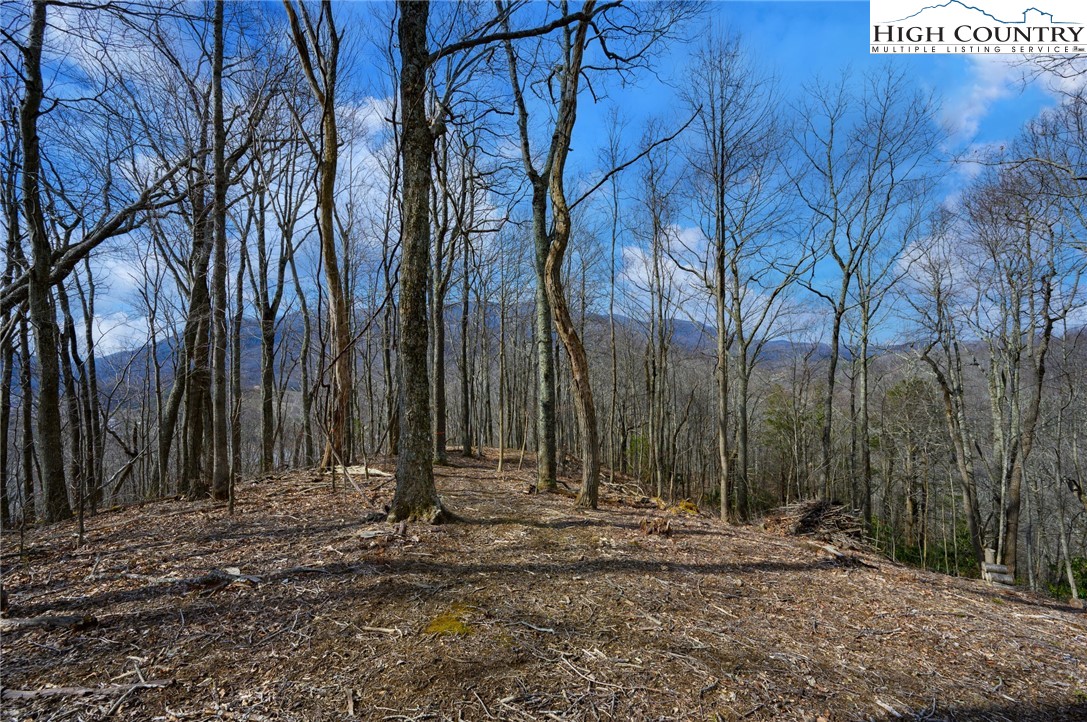 Raspberry Lane Elk Park, NC 28622 - Photo 2 of 39