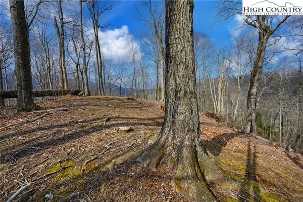 $189,000 | Raspberry Lane, Elk Park, NC 28622