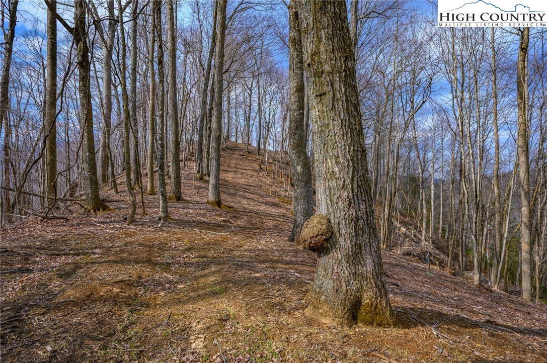 Raspberry Lane Elk Park, NC 28622 - Photo 4 of 39