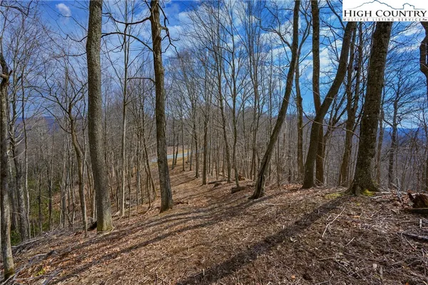 $189,000 | Raspberry Lane, Elk Park, NC 28622