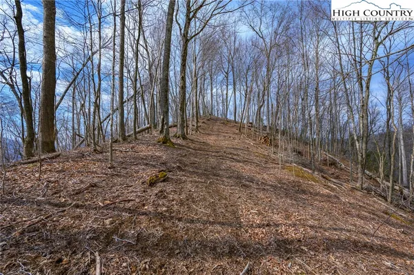 $189,000 | Raspberry Lane, Elk Park, NC 28622