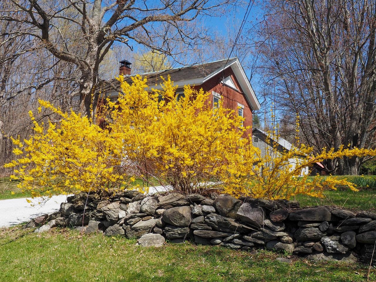 4367 St George Road Williston, VT 05495 - Photo 11 of 52