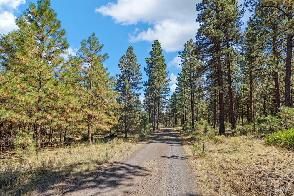 Lot 26 Simpson Canyon Road Klamath Falls, OR 97601 - Photo 1 of 33 SimpsonCanyonLand-1