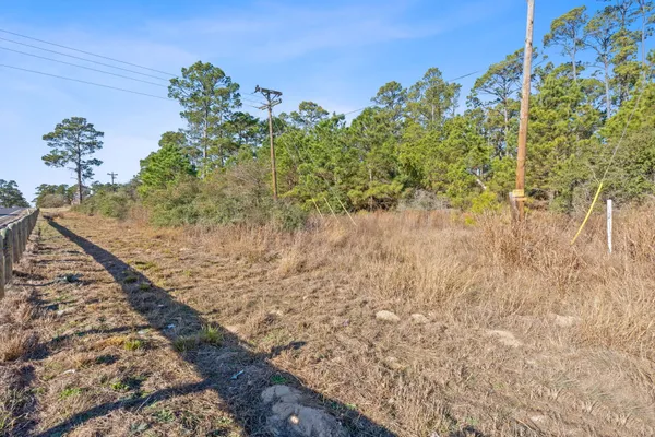 $750,000 | Lot 65 State Highway, Bastrop, TX 78602