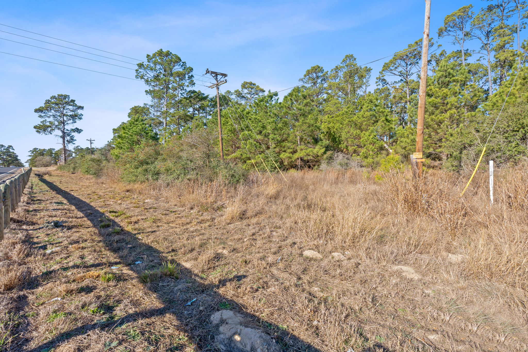 Lot 65 State Highway Bastrop, TX 78602 - Photo 12 of 14