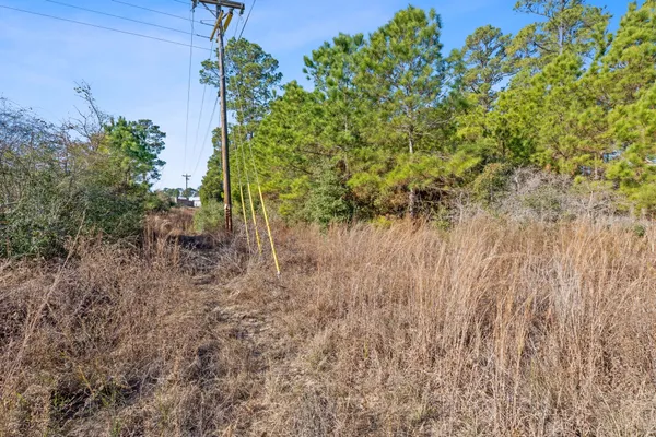 $750,000 | Lot 65 State Highway, Bastrop, TX 78602