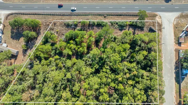 a view of a yard with plants