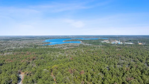 a view of backyard and trees