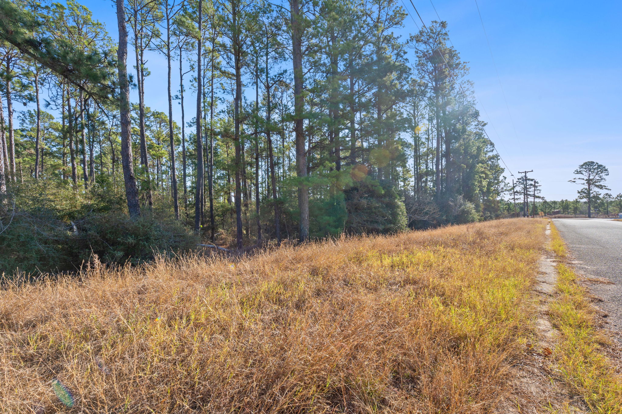 Lot 65 State Highway Bastrop, TX 78602 - Photo 10 of 14