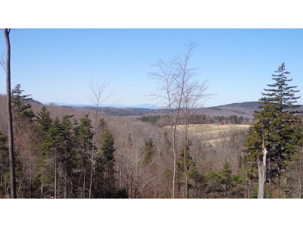 11 Lempster Mountain Road Washington, NH 03280 - Photo 1 of 5