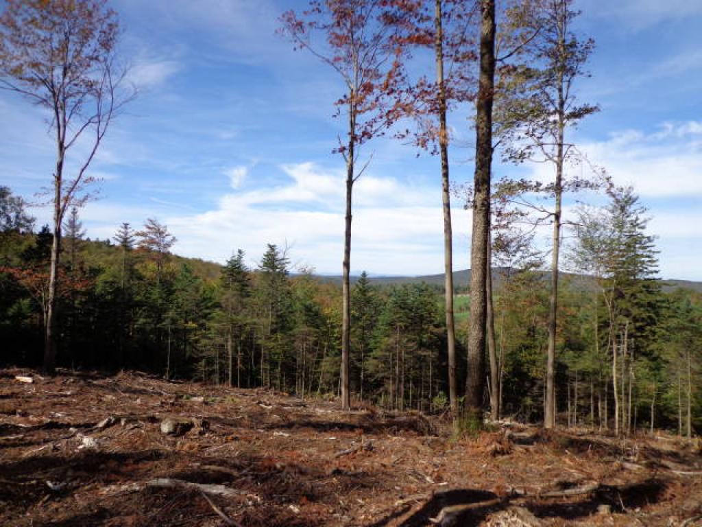 11 Lempster Mountain Road Washington, NH 03280 - Photo 2 of 5