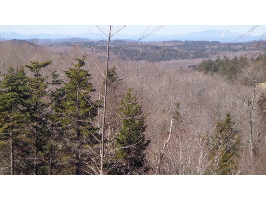 11 Lempster Mountain Road Washington, NH 03280 - Photo 3 of 5