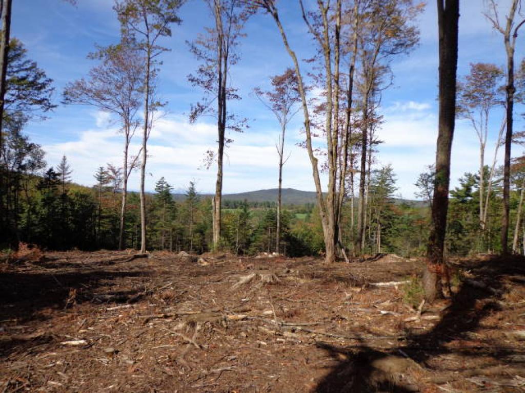 11 Lempster Mountain Road Washington, NH 03280 - Photo 4 of 5