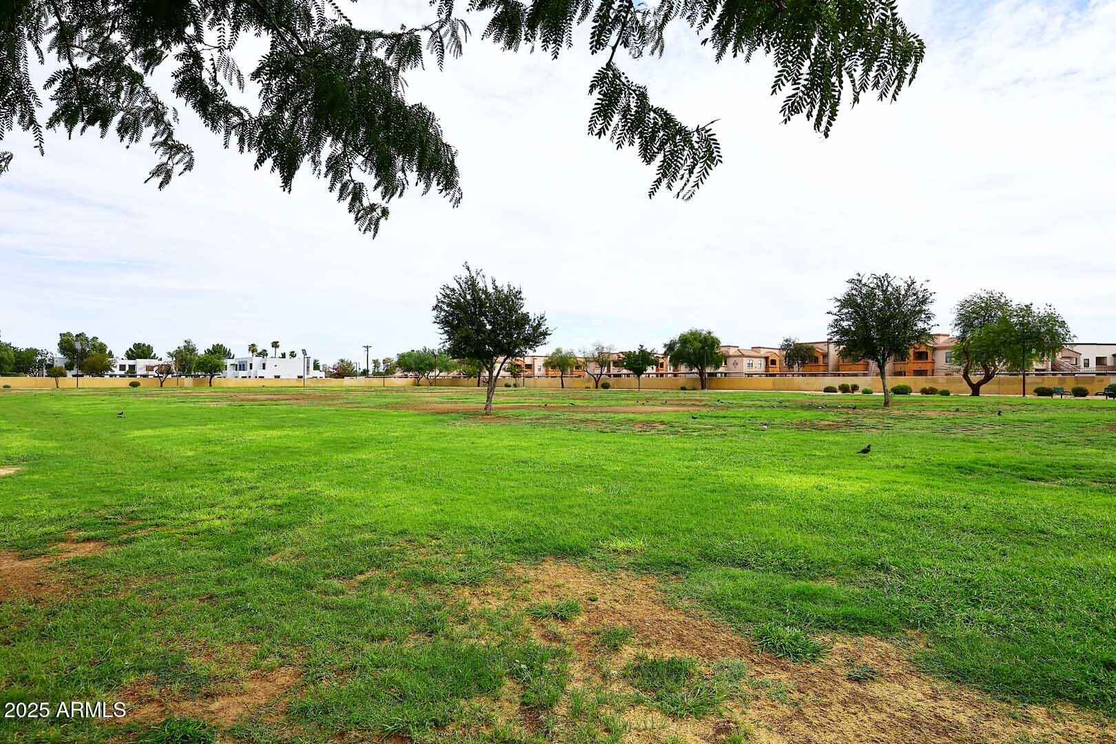 7015 West Ocotillo Road Glendale, AZ 85303 - Photo 21 of 23 Community Park